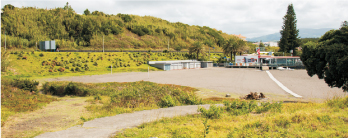 Passadiço na Praia do Pópulo - antes